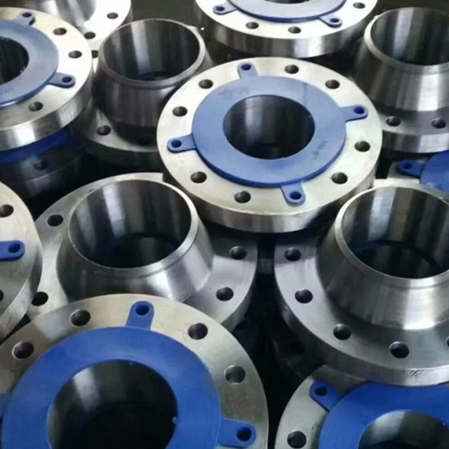 Stainless Steel Flanges